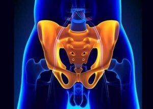 osteopatia-de-pubis